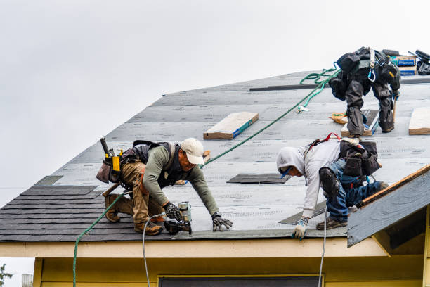 Professional Gutter Installation technician working in Schley, VA
